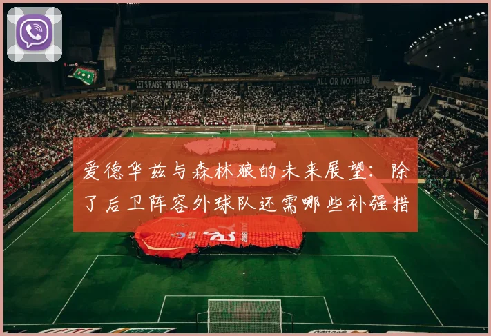 爱德华兹与森林狼的未来展望：除了后卫阵容外球队还需哪些补强措施