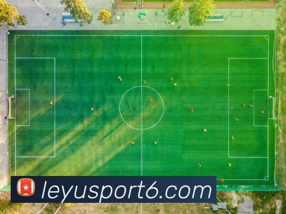 App Interface Preview