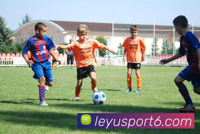 乐鱼体育APP 封面图