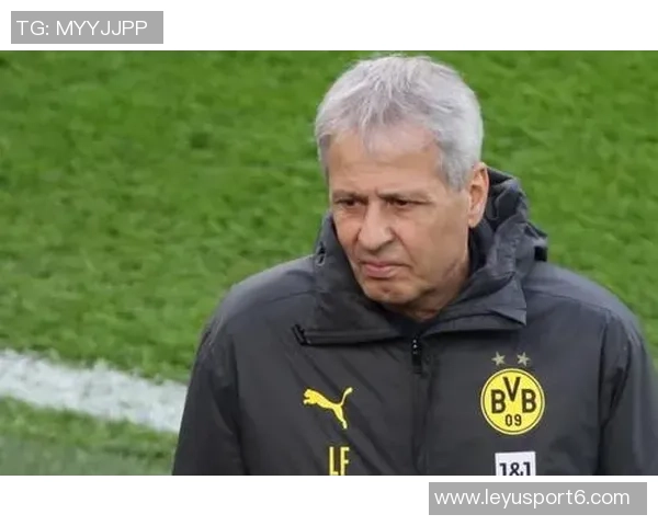 哈曼称多特蒙德中场选择丰富上场球员均能发挥重要作用